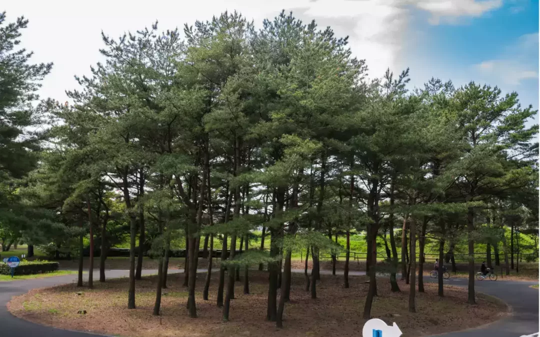 Amazing Places In The World